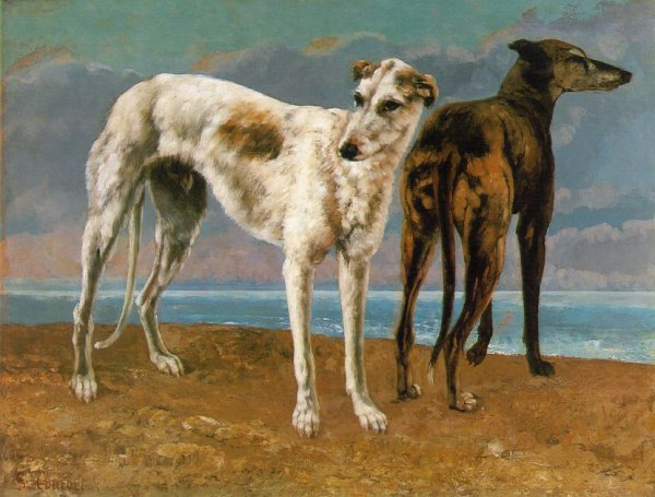 Count de Choiseul's Greyhounds