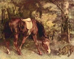 Horse in the forest