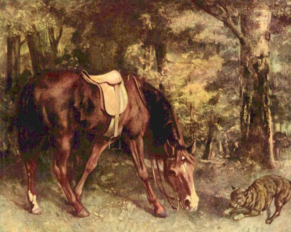 Horse in the forest